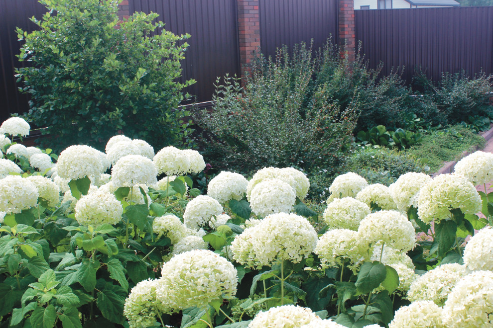 КП Тихие Зори