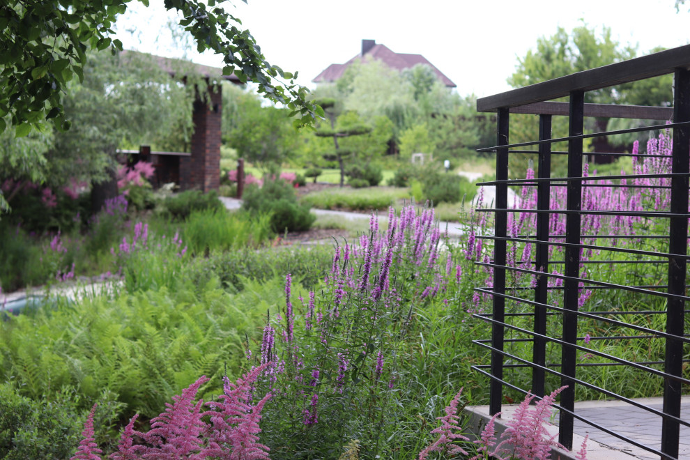 WB Берег пруда (май,июнь)