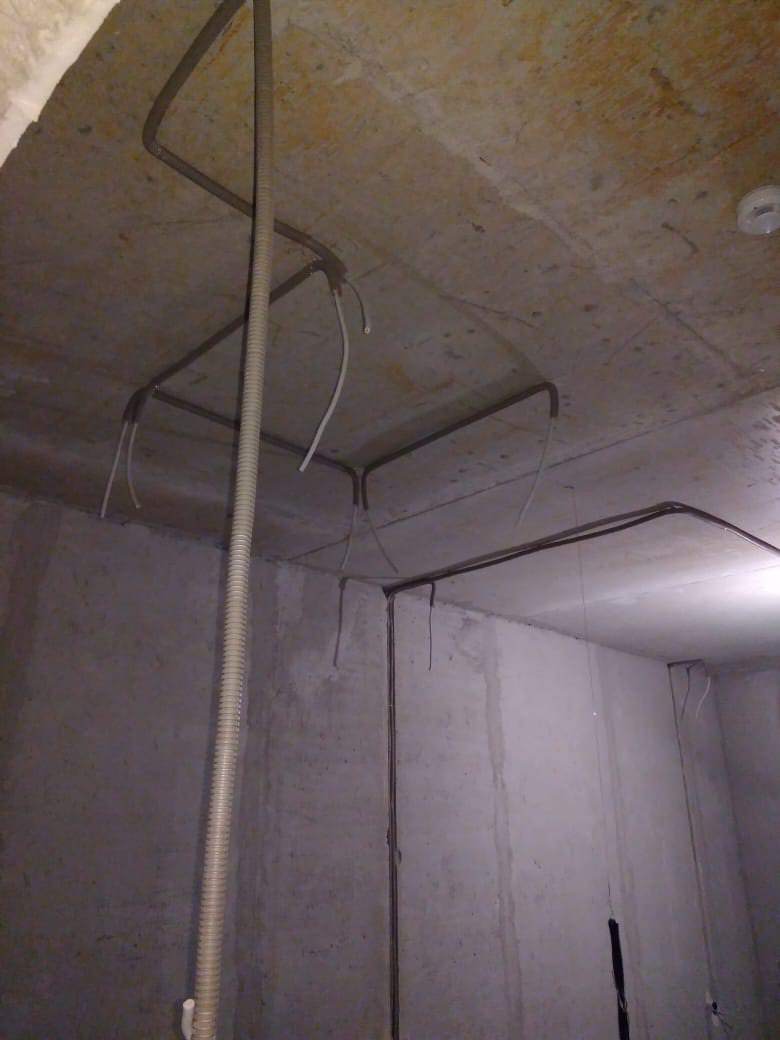 c679ed87-62f6-4e95-891d-deae8722e0ba.jpg