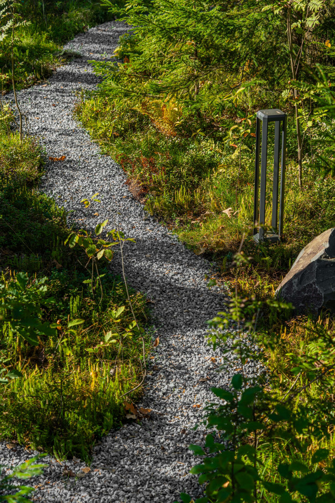 Репино парк