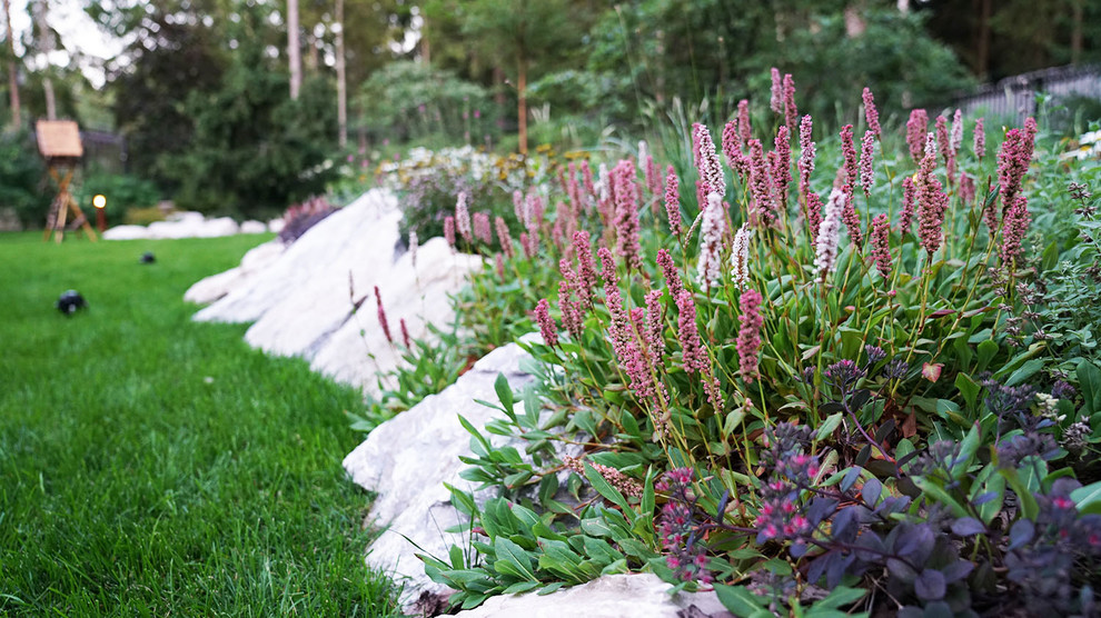 Мечта об Альпах. КП Вымпел