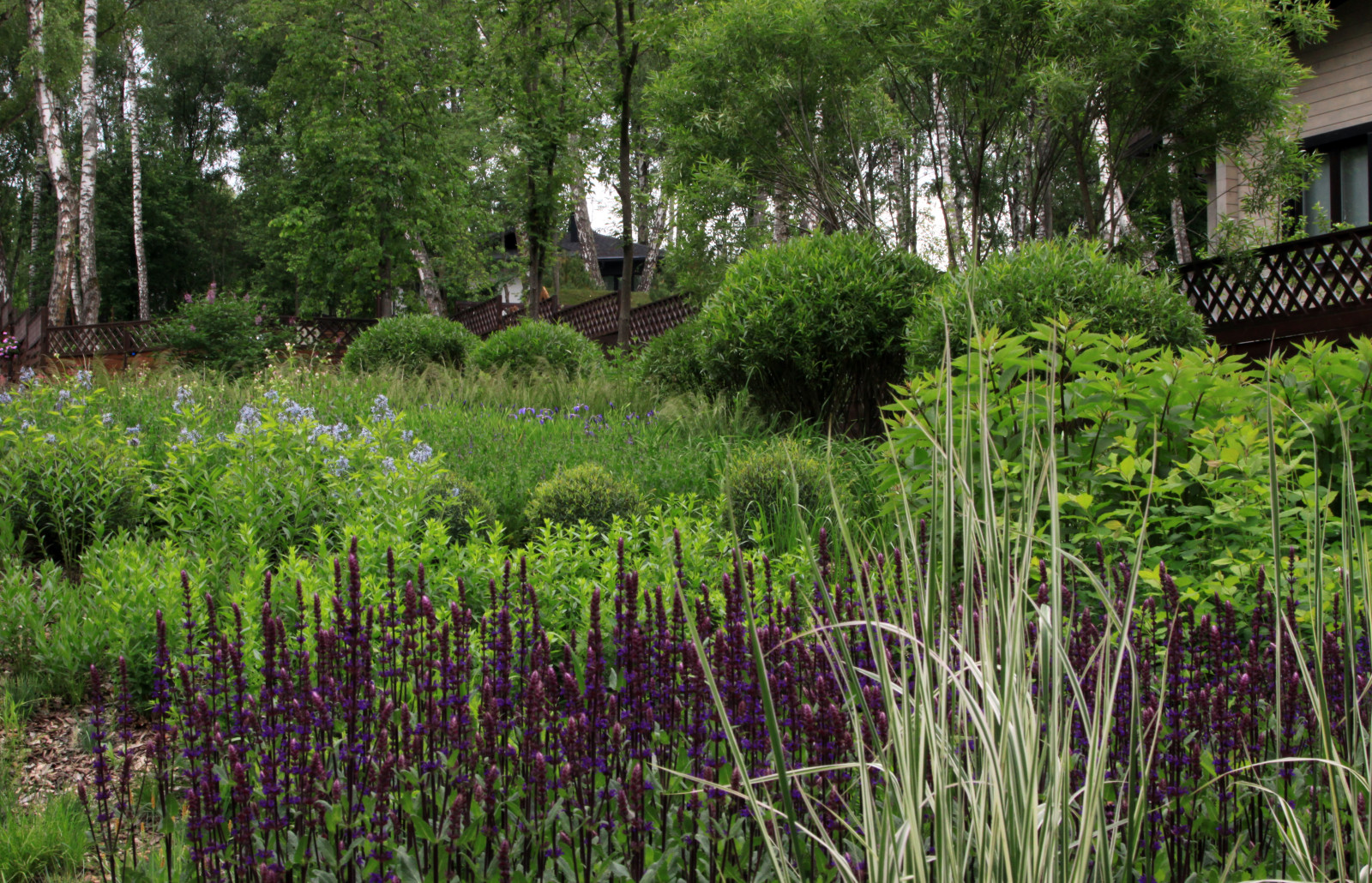 Проект "Волны". Нижний сад