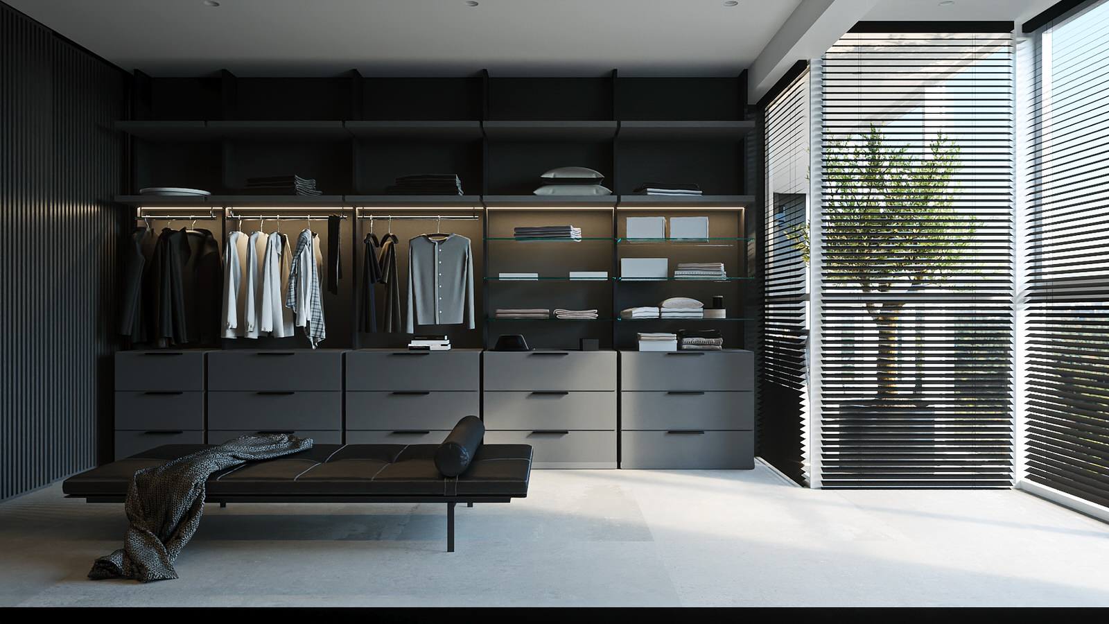 Олива в бетоне