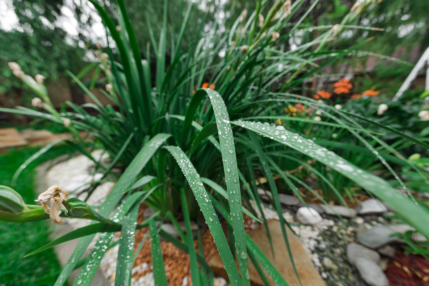 Экстерьер загородного дома