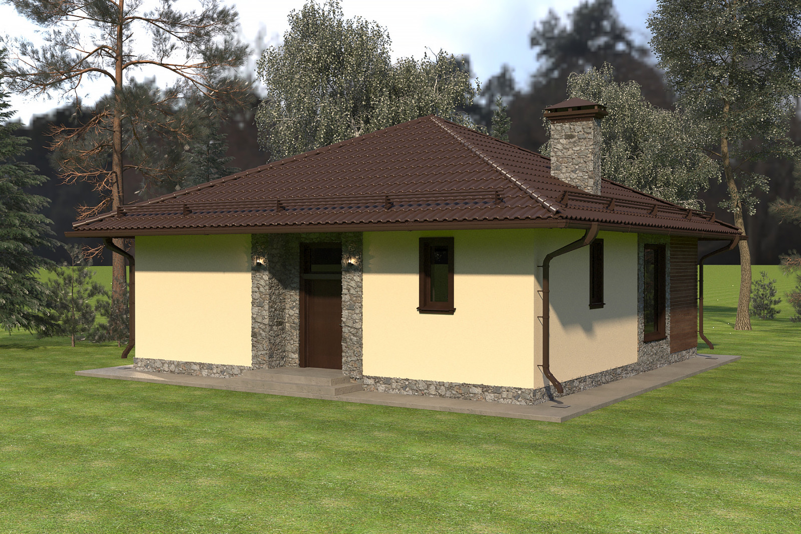 Обложка проекта: Частный дом 100 х 100