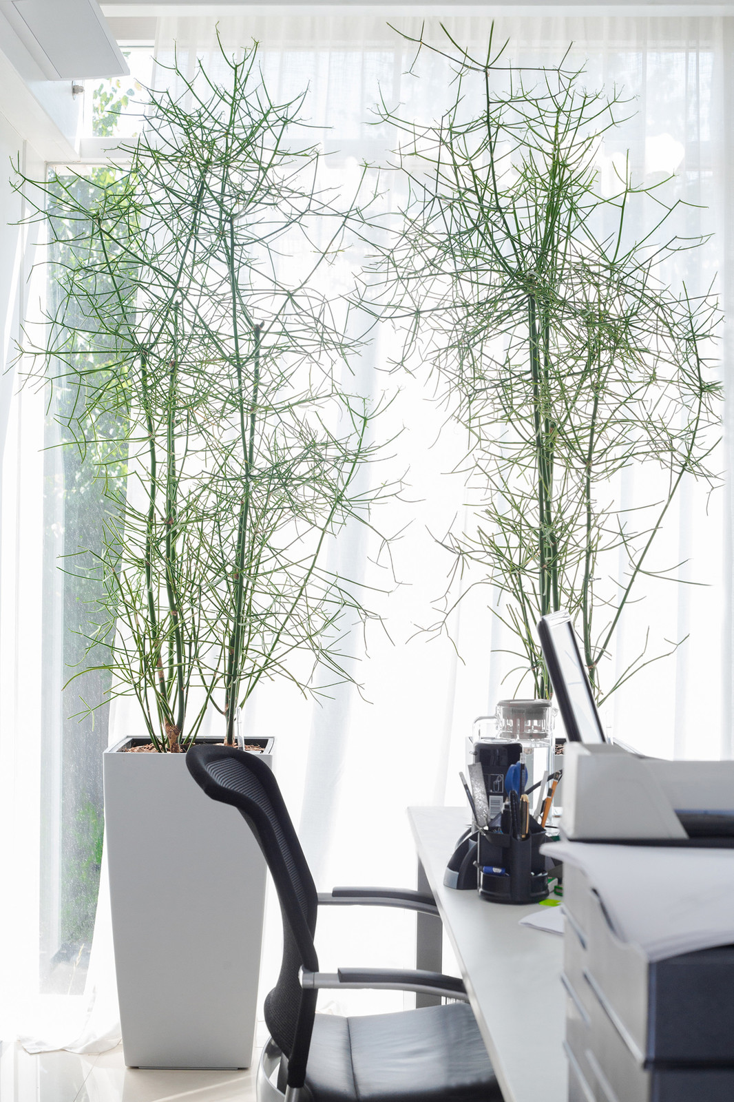 Обложка проекта: Частный интерьер, загородный дом