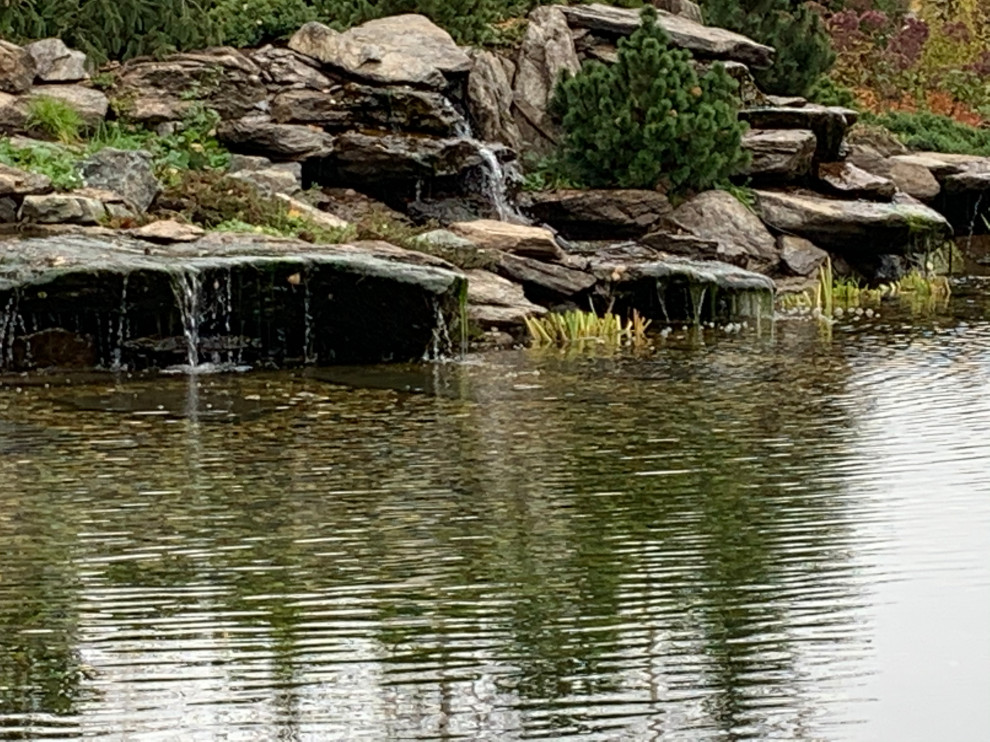 Ландшафт в поселке "Бенилюкс"