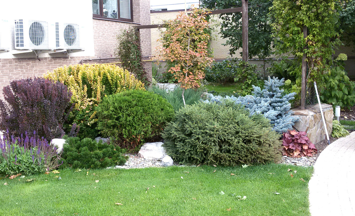 "Кленовый лист"