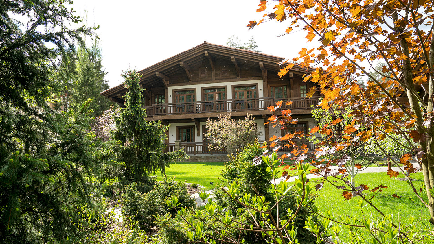 Мечта об Альпах. КП "Вымпел", Новорижское шоссе. 2017 г.