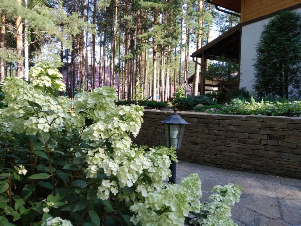 У леса на опушке