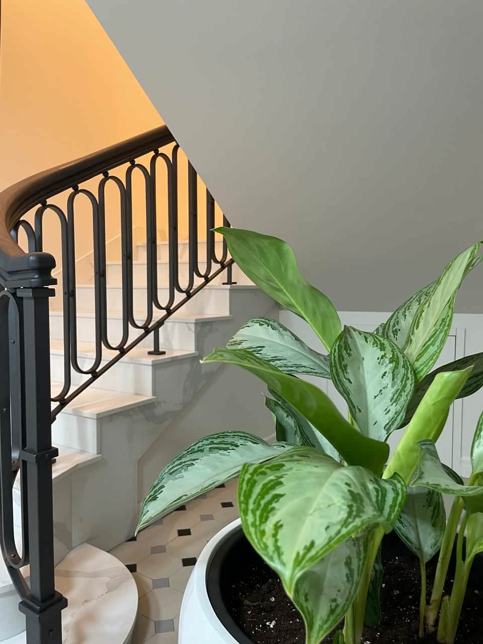 Клиника косметологии г. Санкт-Петербург