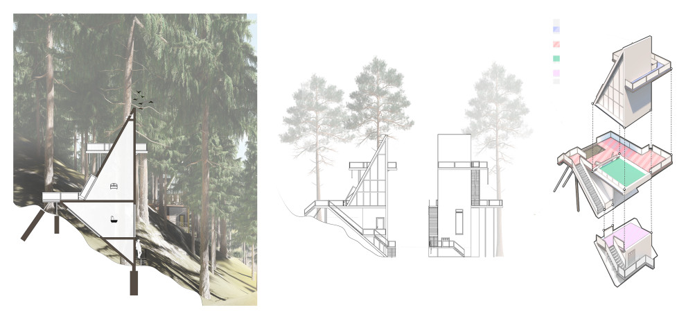 Концептуальный проект "Дом на дереве"