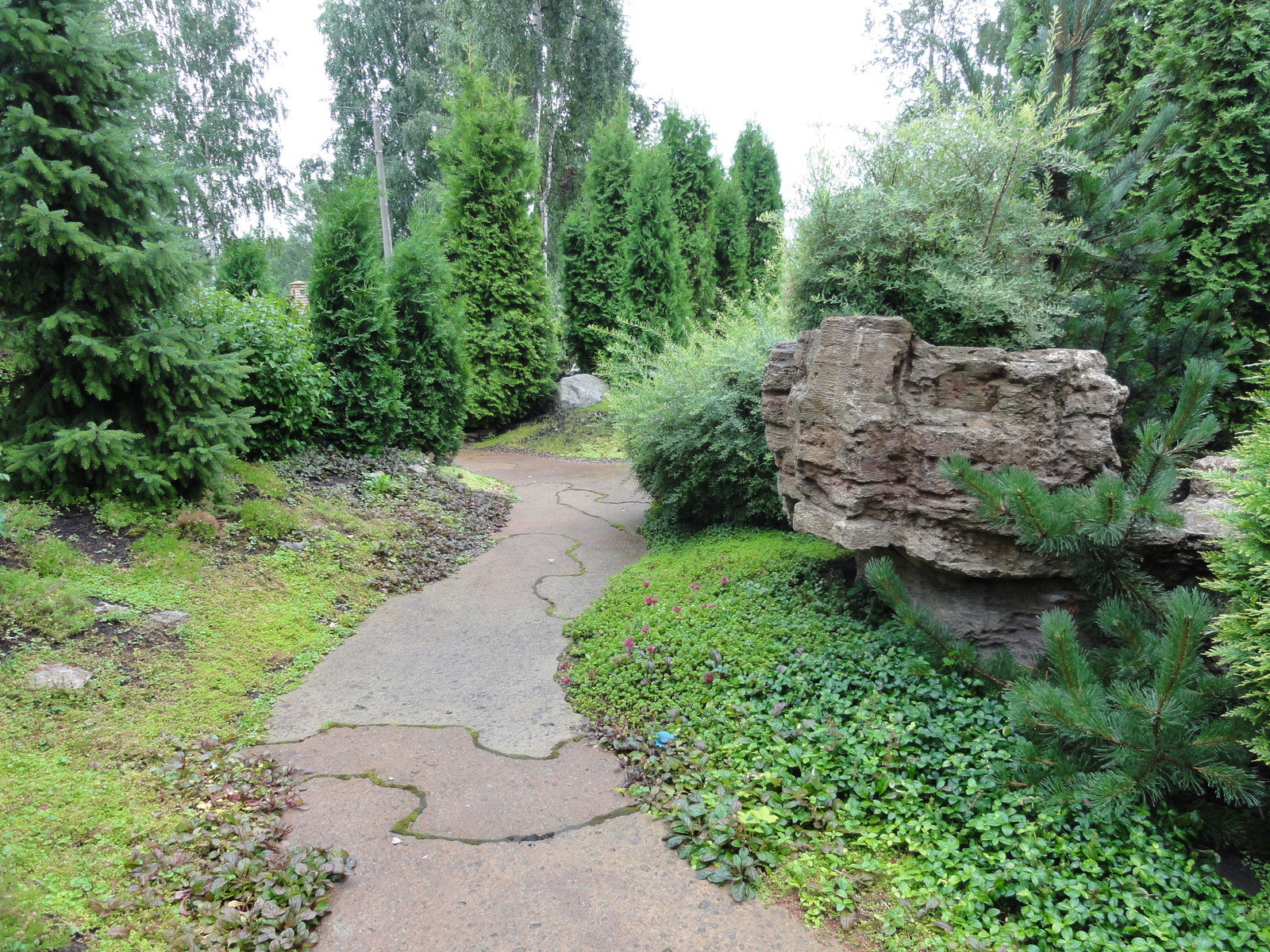 Обложка проекта: вокруг пруда