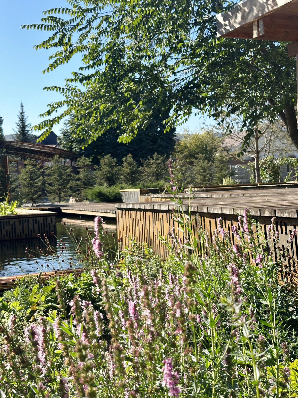 Выставочный сад