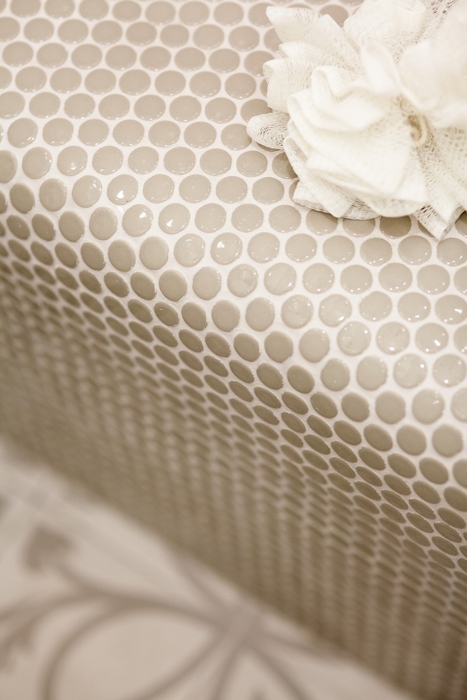 Новый проект 2019