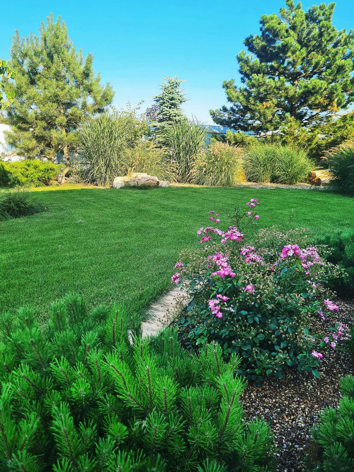 Обложка проекта: Дивная усадьба