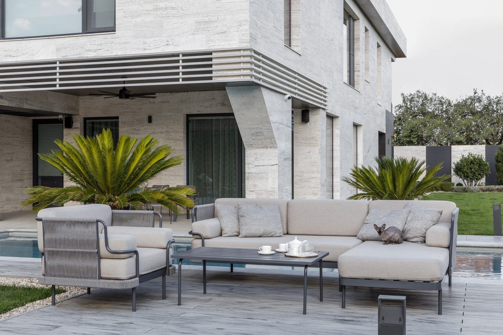 Обложка проекта: коллекция Мартиника