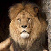 Виктор Макаров