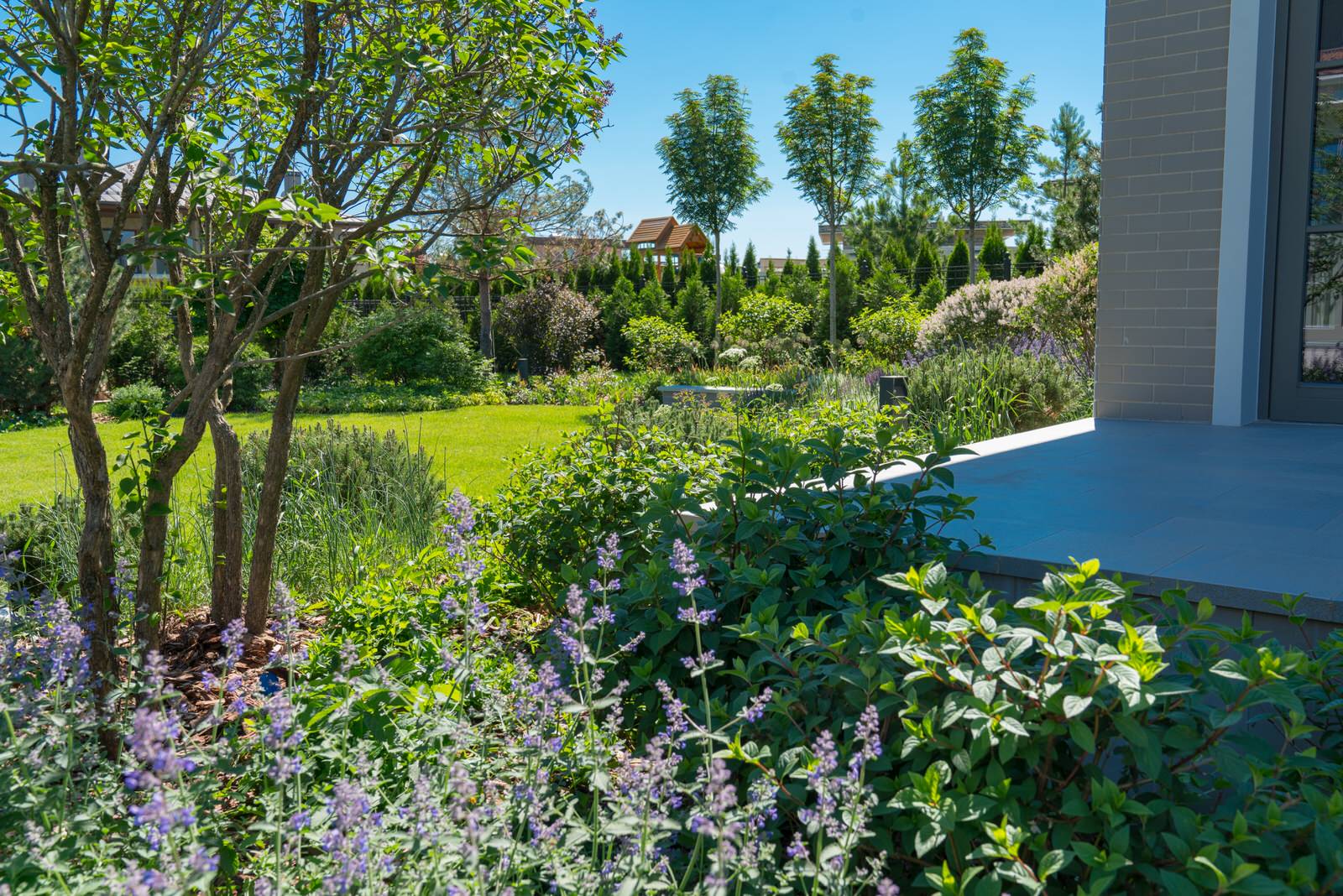 Игра контрастов. Миллениум Парк 2018 г.