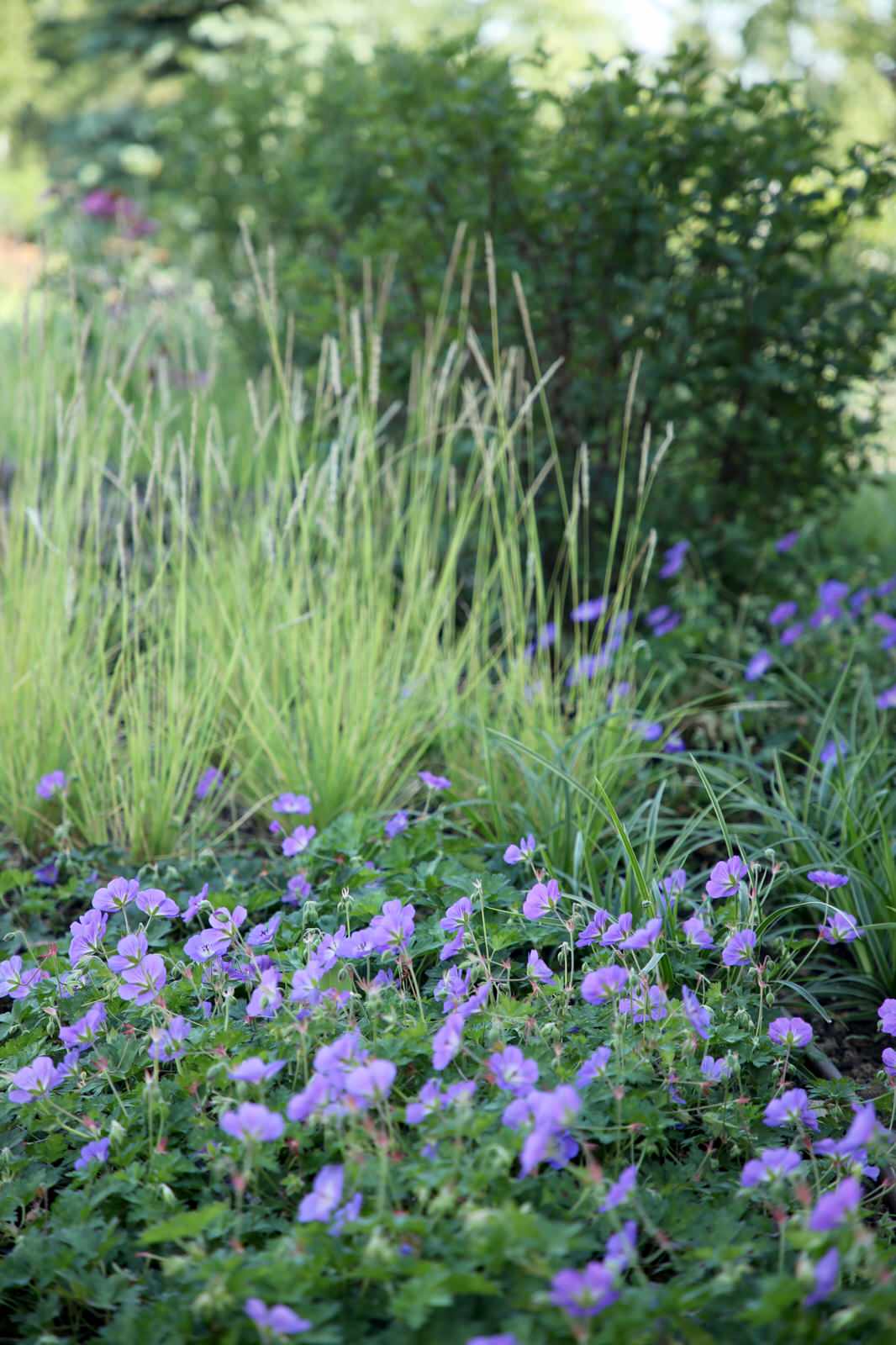 "Новорижский парк"