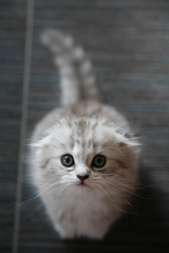 Хороший вопрос: Как победить собственную лень и начать ремонт