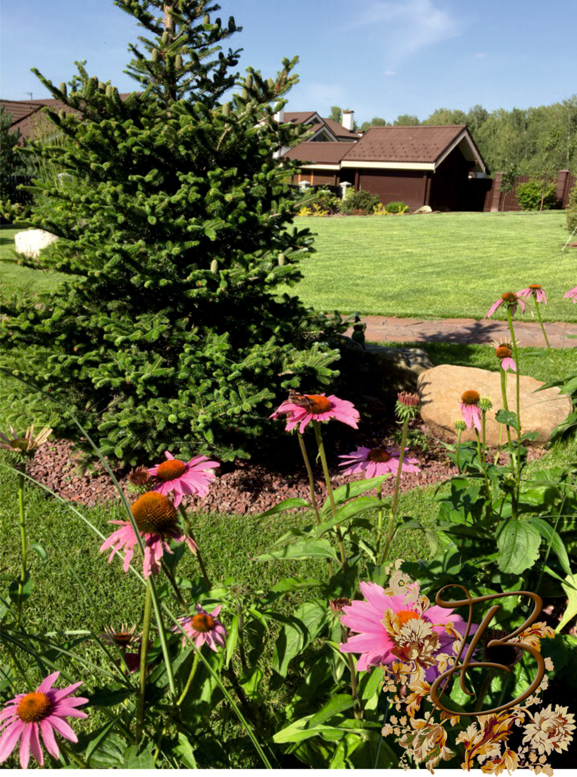 Обложка проекта: Частная территория п.Терраски