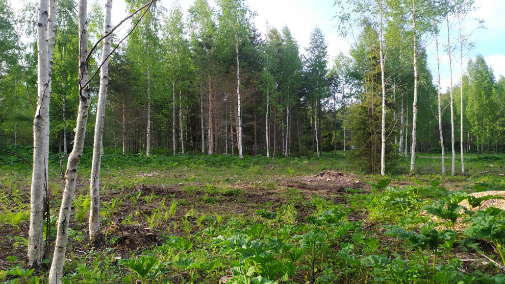 Обложка проекта: Заозерье