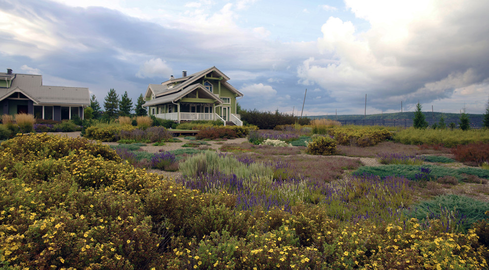 Полынный берег. Новые снимки