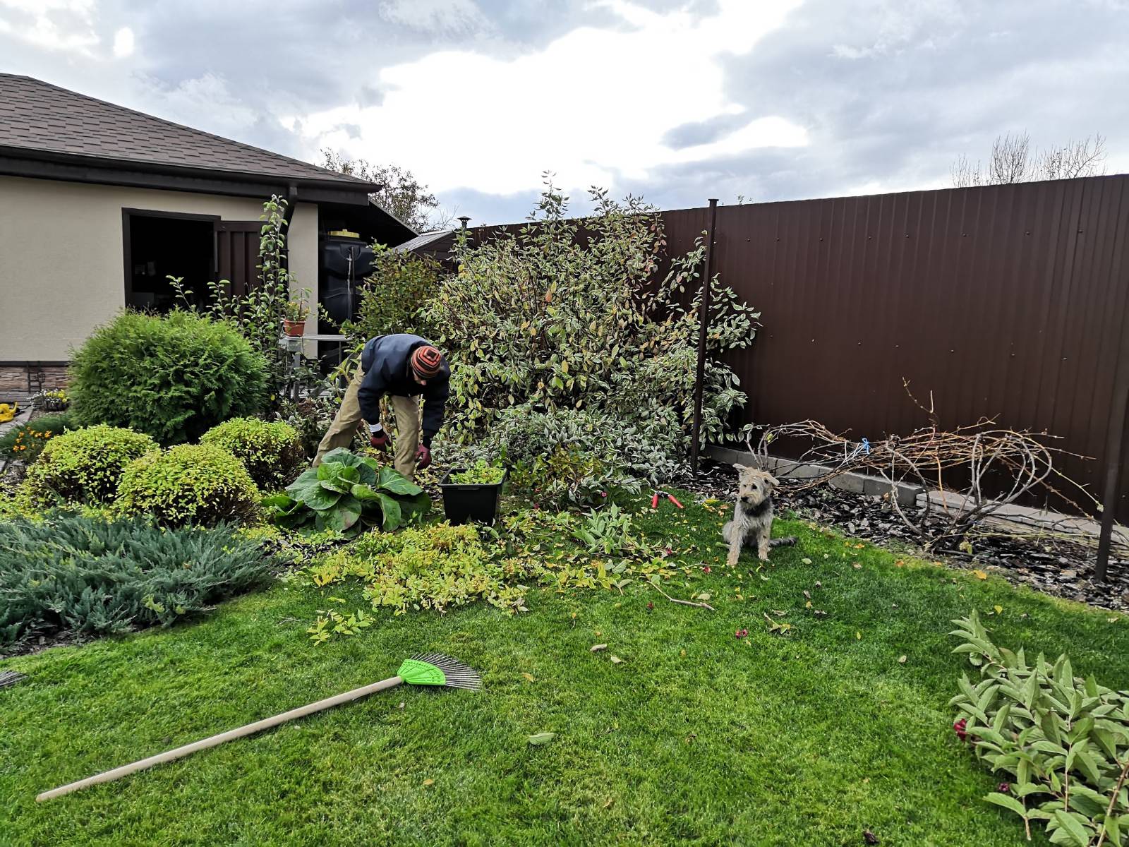 Уходные работы в саду