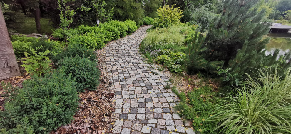 Лесное озеро