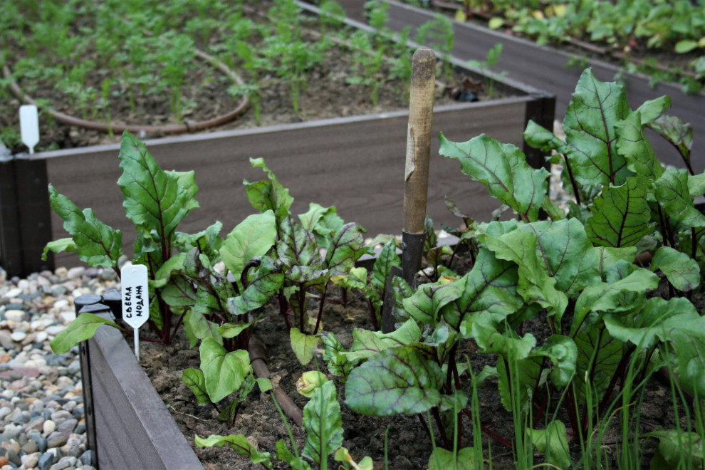 Чистые ключи