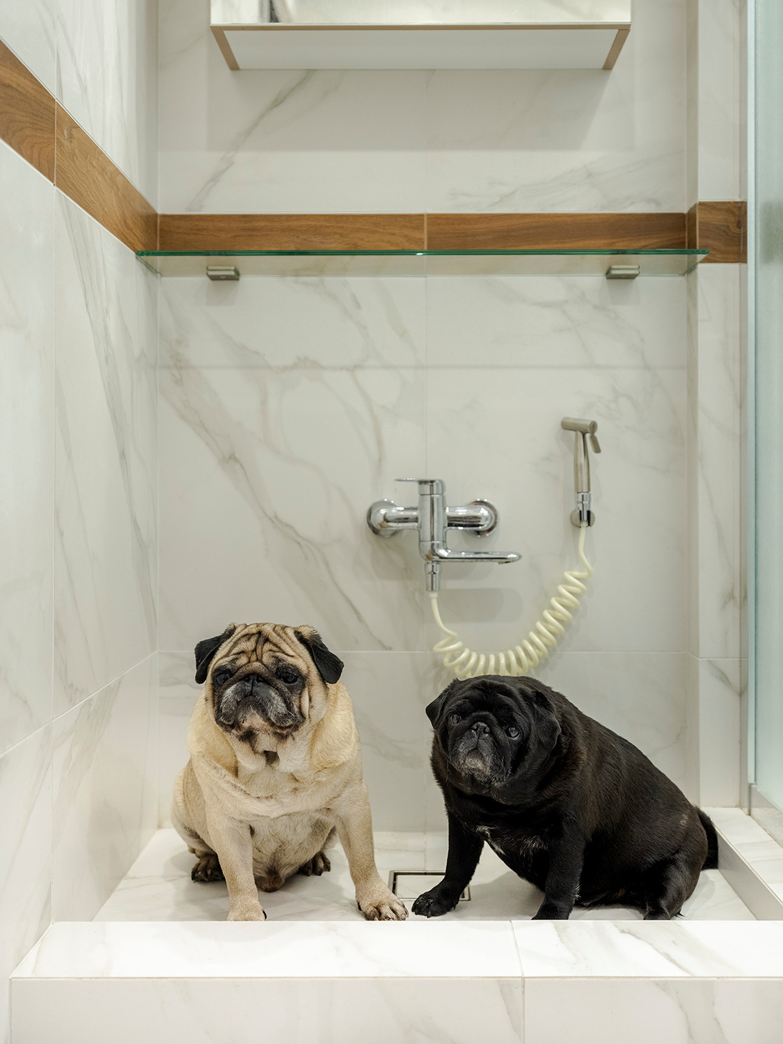 Порядок в доме: Домашние дела, которые помогут победить хандру