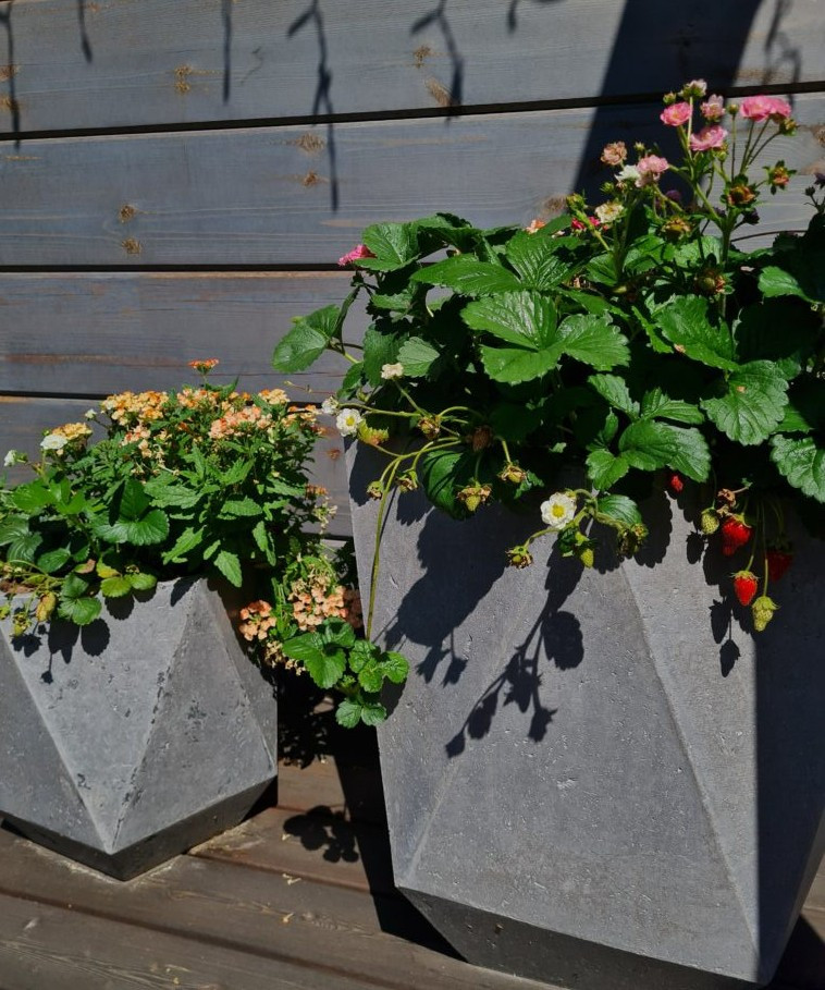 Ландшафтный дизайн Красноярск