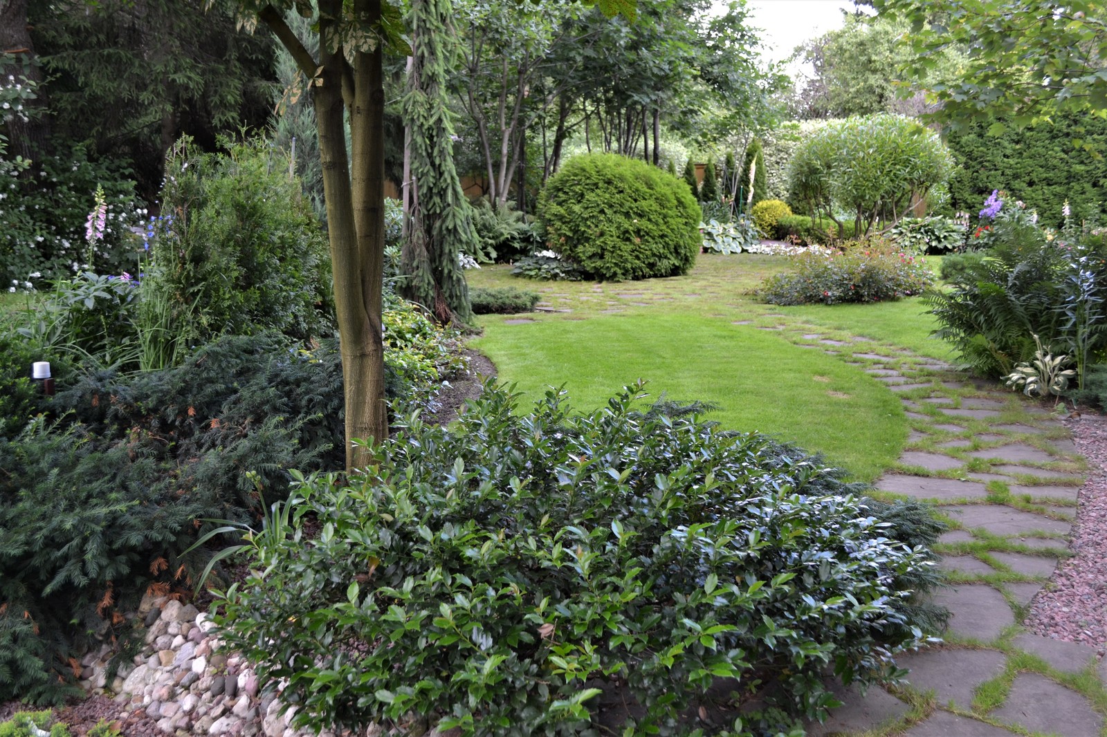 Клуб владельцев частных садов "Цветущая Планета". Сад в лесу и теневые цветники.