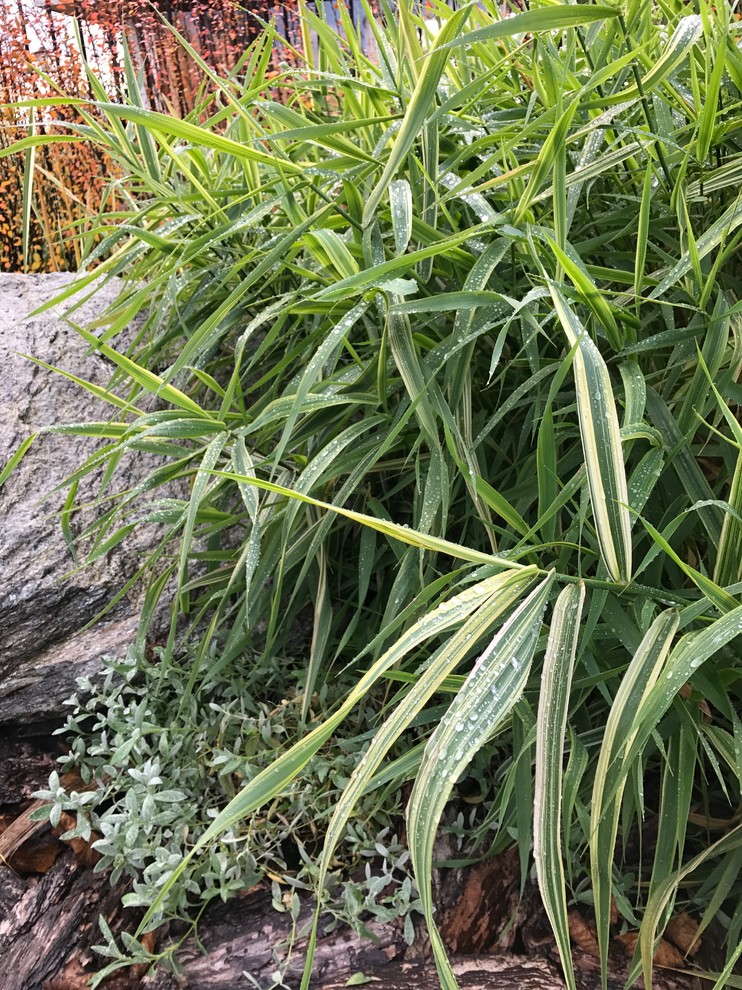 Свежий Ветер, 0.25 га