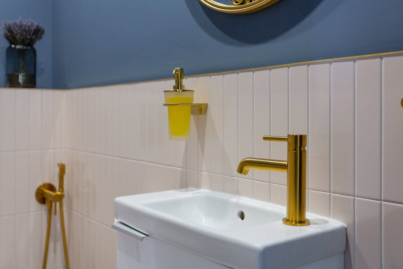 Стрижи сити