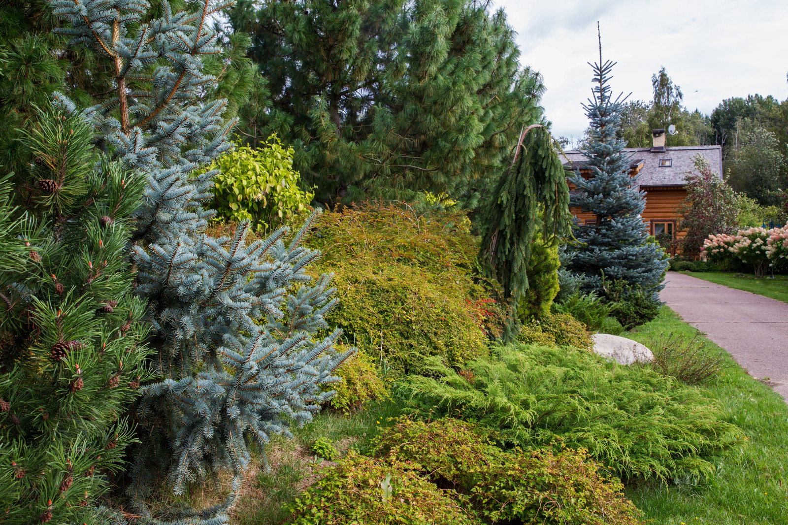 Парк в  Шаховском районе