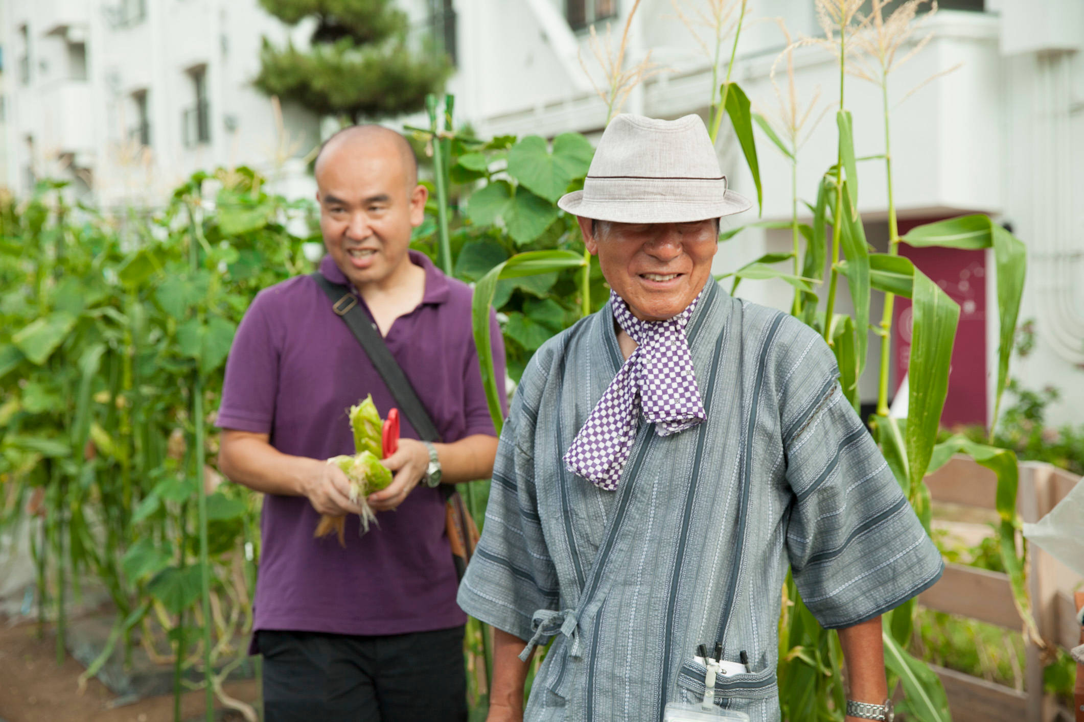 Мир дизайна: 10 огородников-любителей показывают урожай со своих грядок