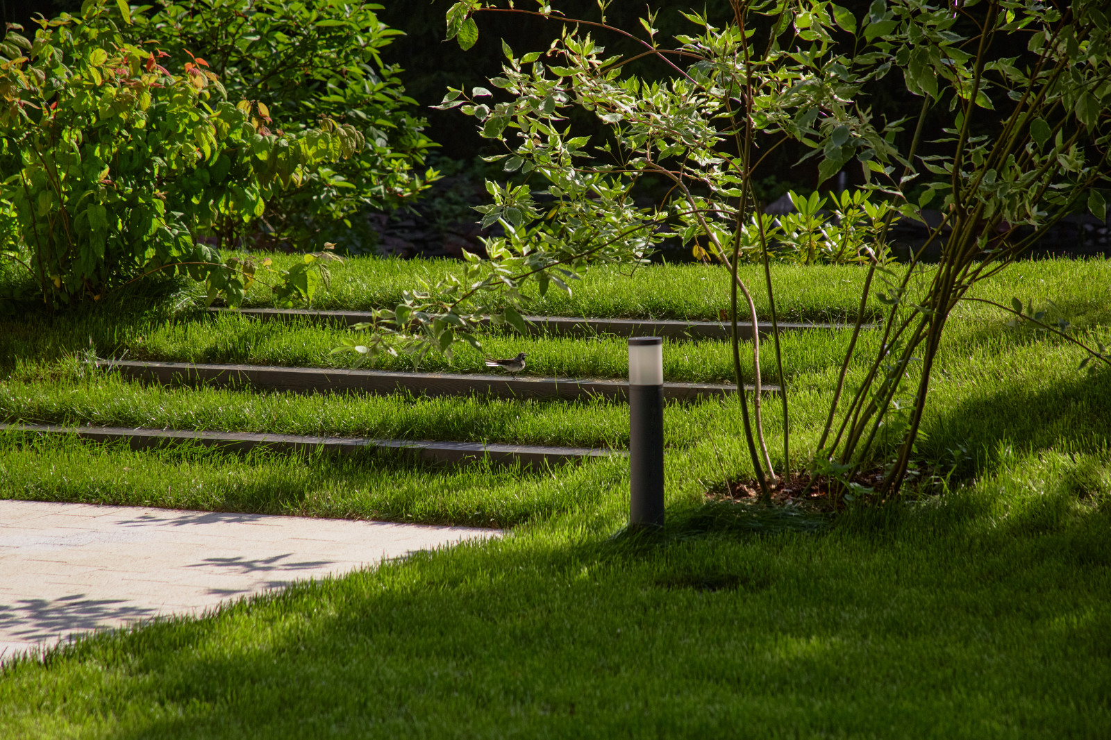 На Лисьем Носу