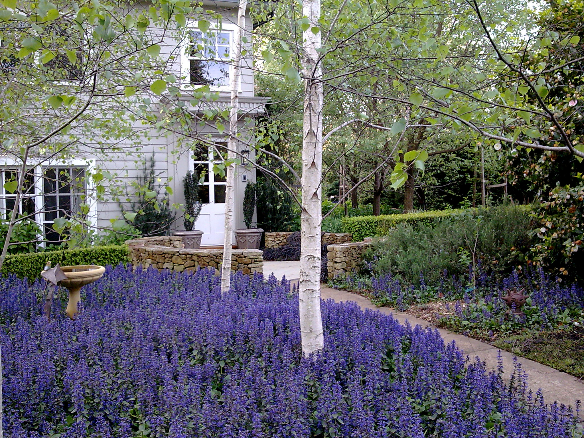 Родные березки: «Русская красавица» снова в игре