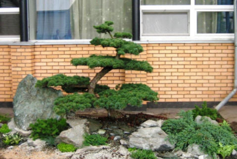 частный дом