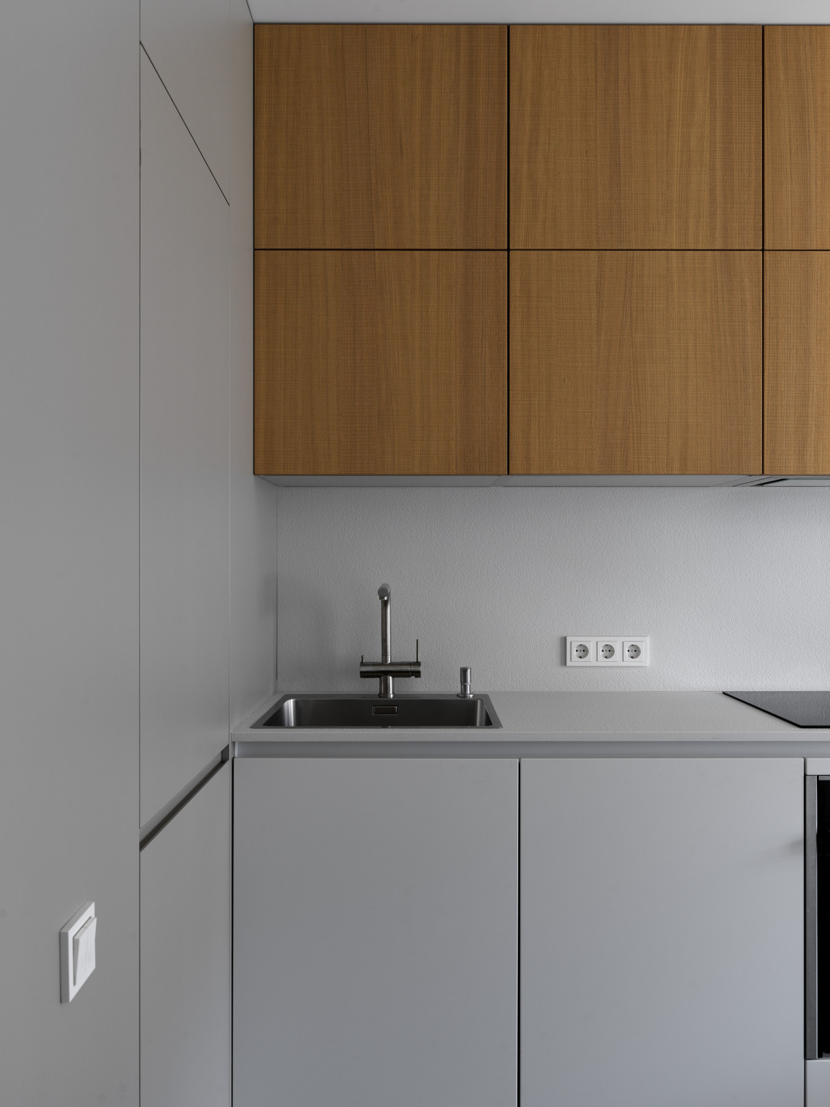 Проект Лебедь