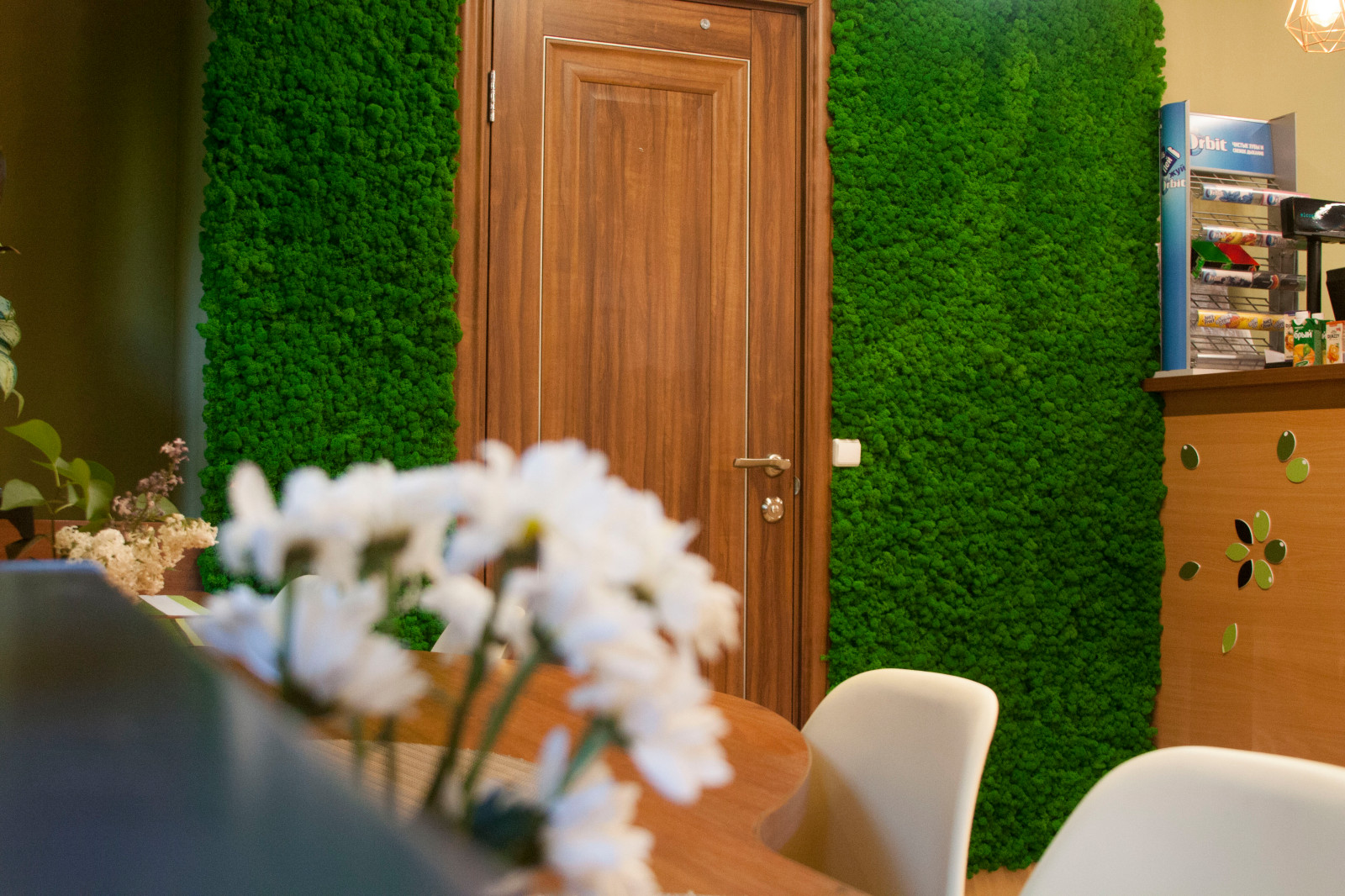 Обложка проекта: Панно из мха ягель для кафетерия