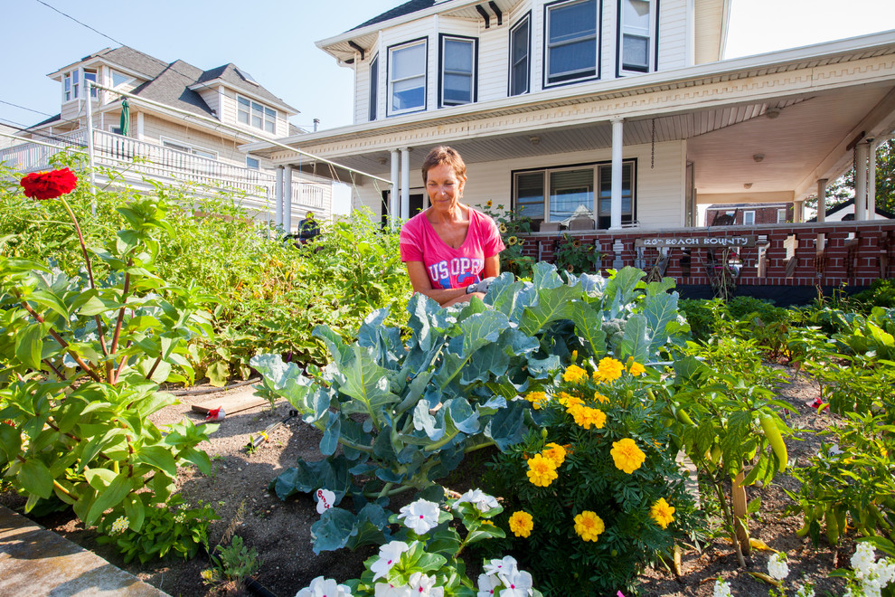 Приоритеты: Как ухаживать за садом, если денег нет