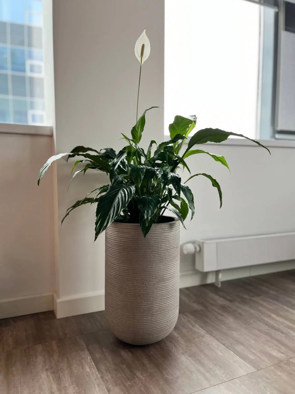 Офис Технодинамика г. Москва