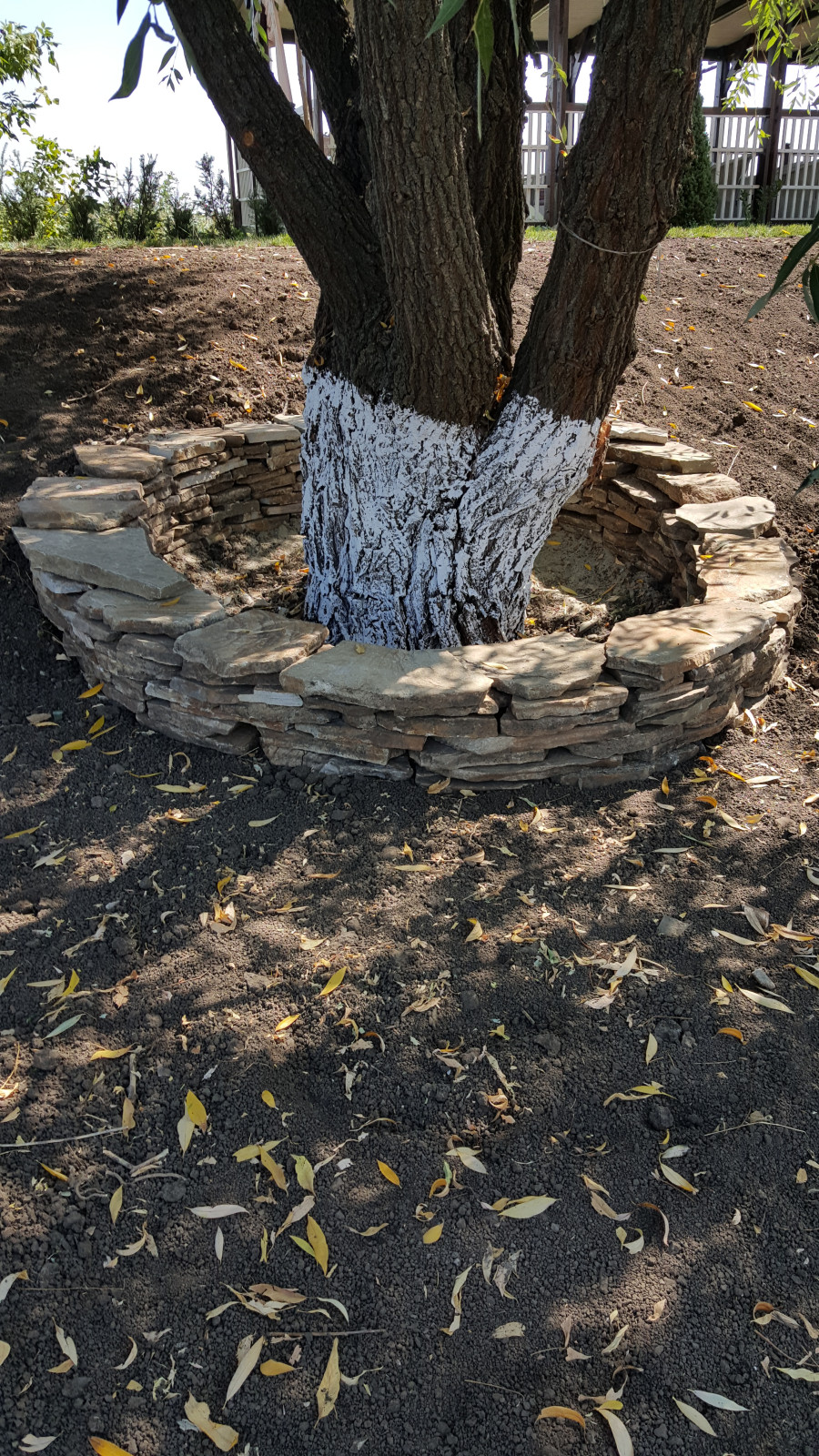 Ландшафтный дизайн и комплексное благоустройство территории в Ростове-на-Дону