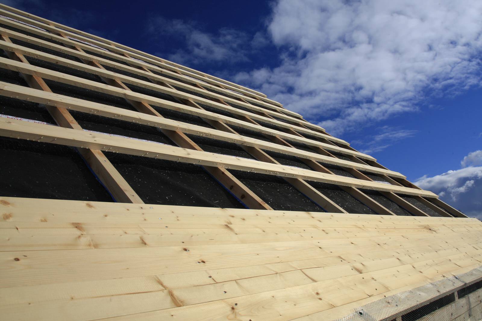 Обложка проекта: VOLGO#2 ( 50 м2 )