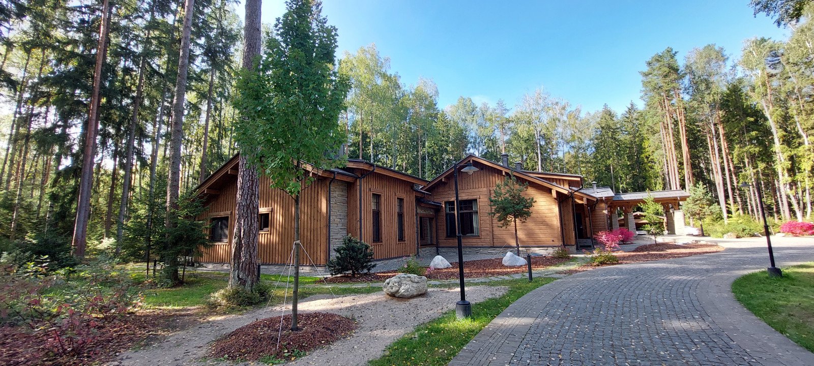 Обложка проекта: Гармония леса 2022