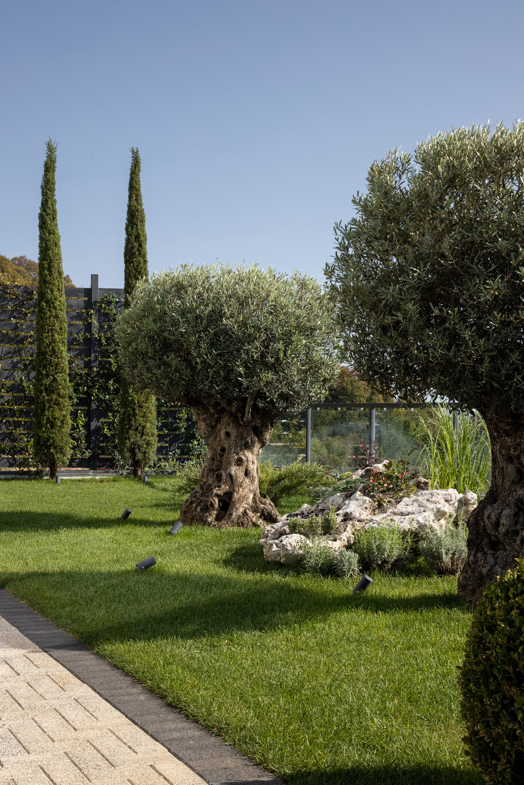 Проект озеленения частного дома, Сочи