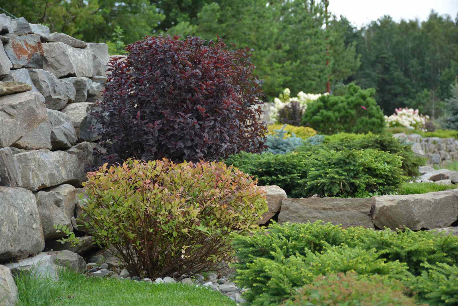 Ново-Николино